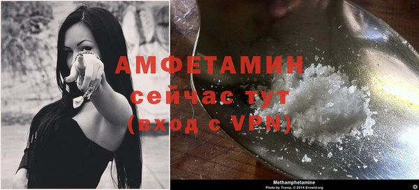 прущие грибы Рославль