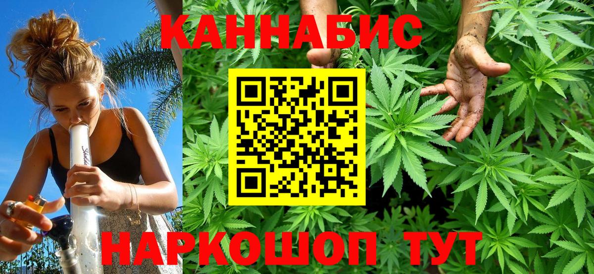 Шишки марихуана план Сосновоборск